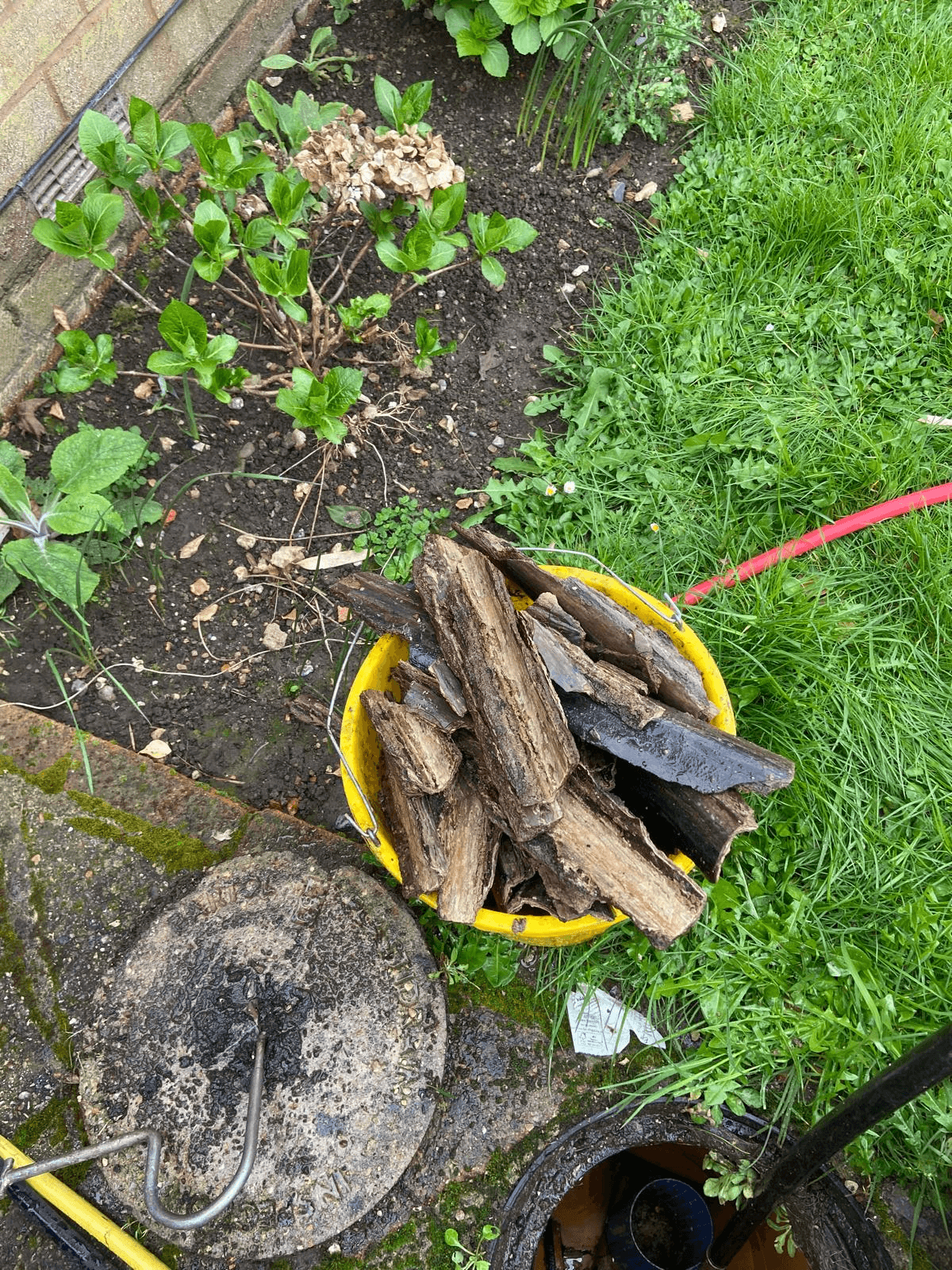 Root and debris cleared from drain